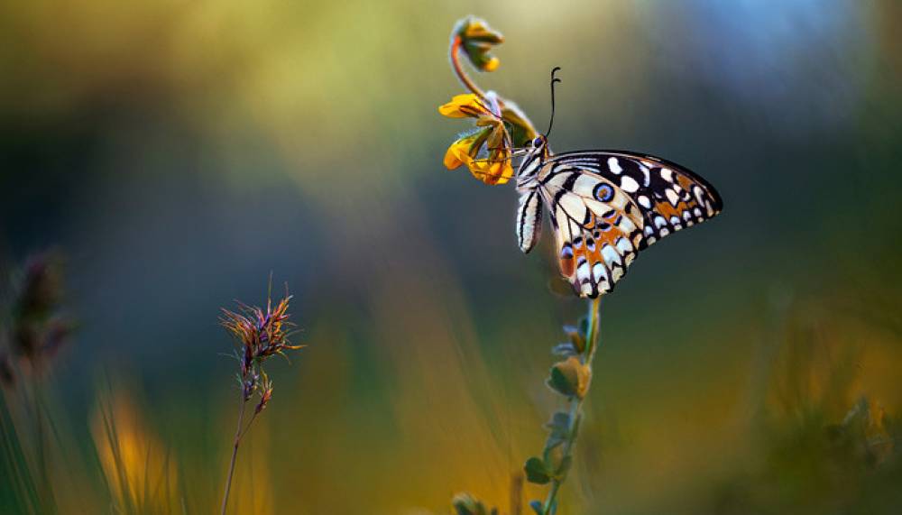 Եղանակը Հայաստանի Հանրապետությունում և Արցախում