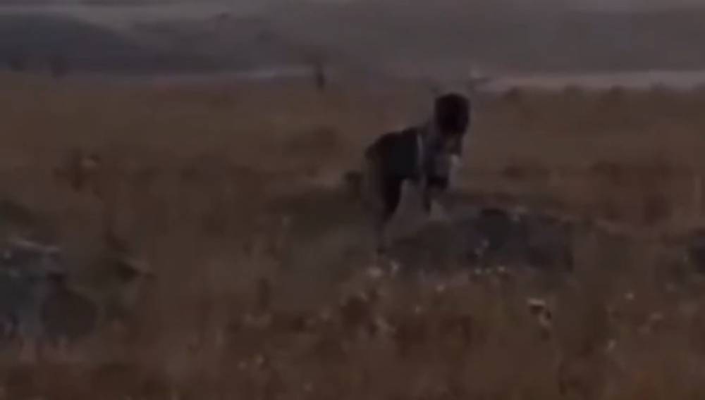 Ինչպես են ադրբեջանցի զինվորները կրակում շան վրա (տեսանյութ)