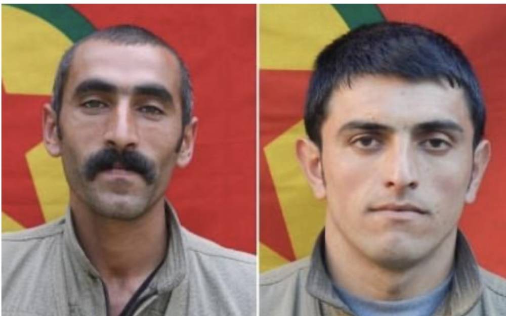 ՀՀ-ն երկու քուրդ զինյալների է հանձնել Թուրքիայի հատուկ ծառայություններին․ Գեղամ Մանուկյան