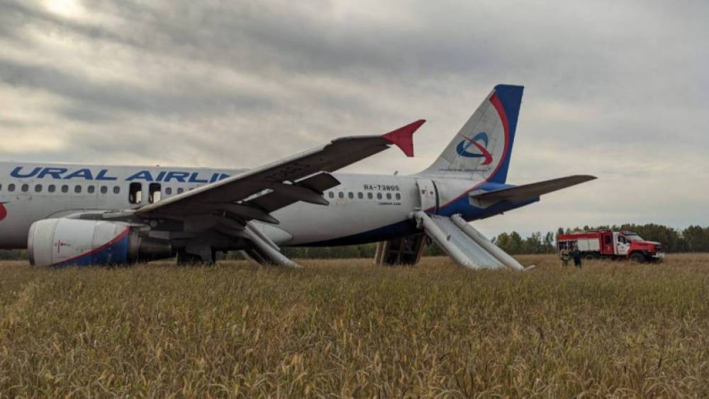 Սոչի-Օմսկ չվերթի՝ ուղևորներով լի ինքնաթիռը վայրէջք է կատարել դաշտում