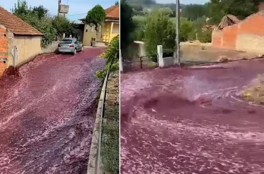 Պորտուգալական քաղաքում 2.2 մլն լիտր կարմիր գինի է արտահոսել՝ առաջացնելով «գինու գետ» (տեսանյութ)