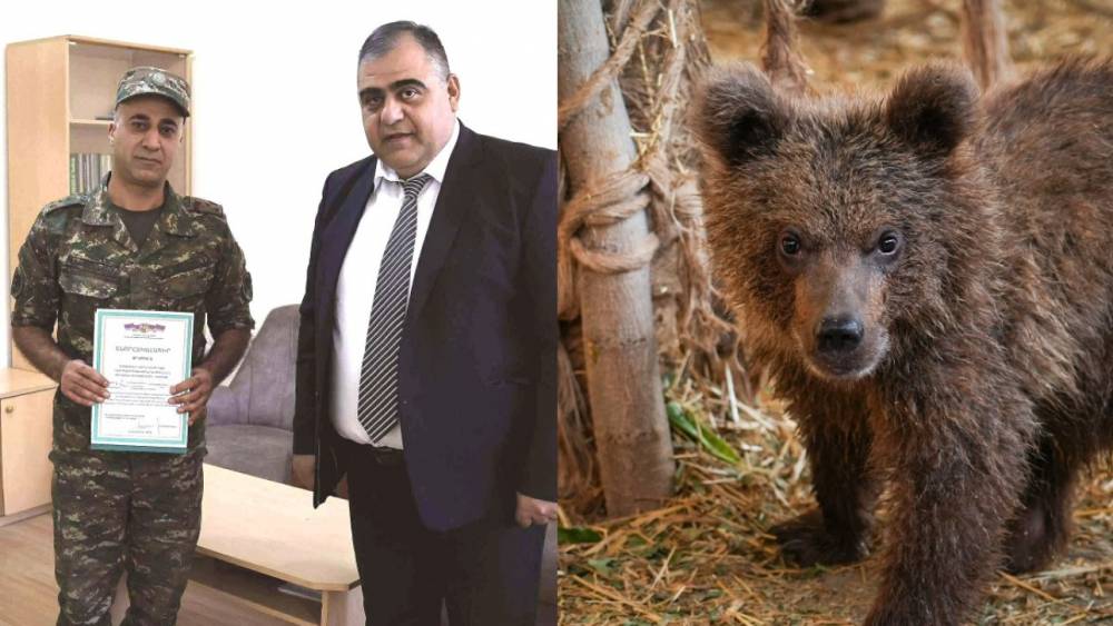 Արջի քոթոթին փրկած ՊՆ զինծառայողը պարգևատրվել է