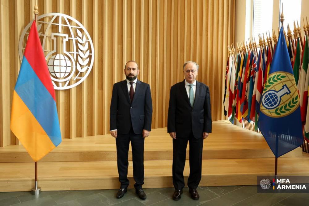 Միրզոյանը հանդիպել է Քիմիական զենքի արգելման կազմակերպության գլխավոր քարտուղարի հետ