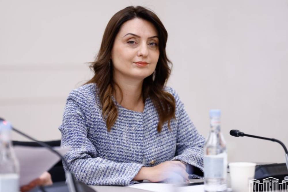 Զարուհի Բաթոյանն ընտրվել է ԱԺ առողջապահության հարցերի մշտական հանձնաժողովի նախագահի տեղակալ
