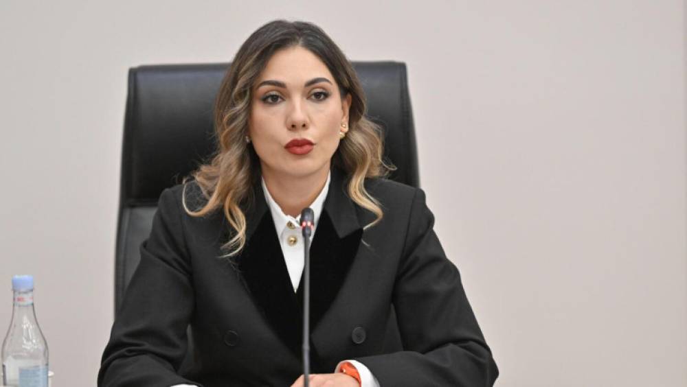 Քրեակատարողական հիմնարկներում արդեն տեղադրվել է 231 տեսախցիկ․ Սրբուհի Գալյան (տեսանյութ)