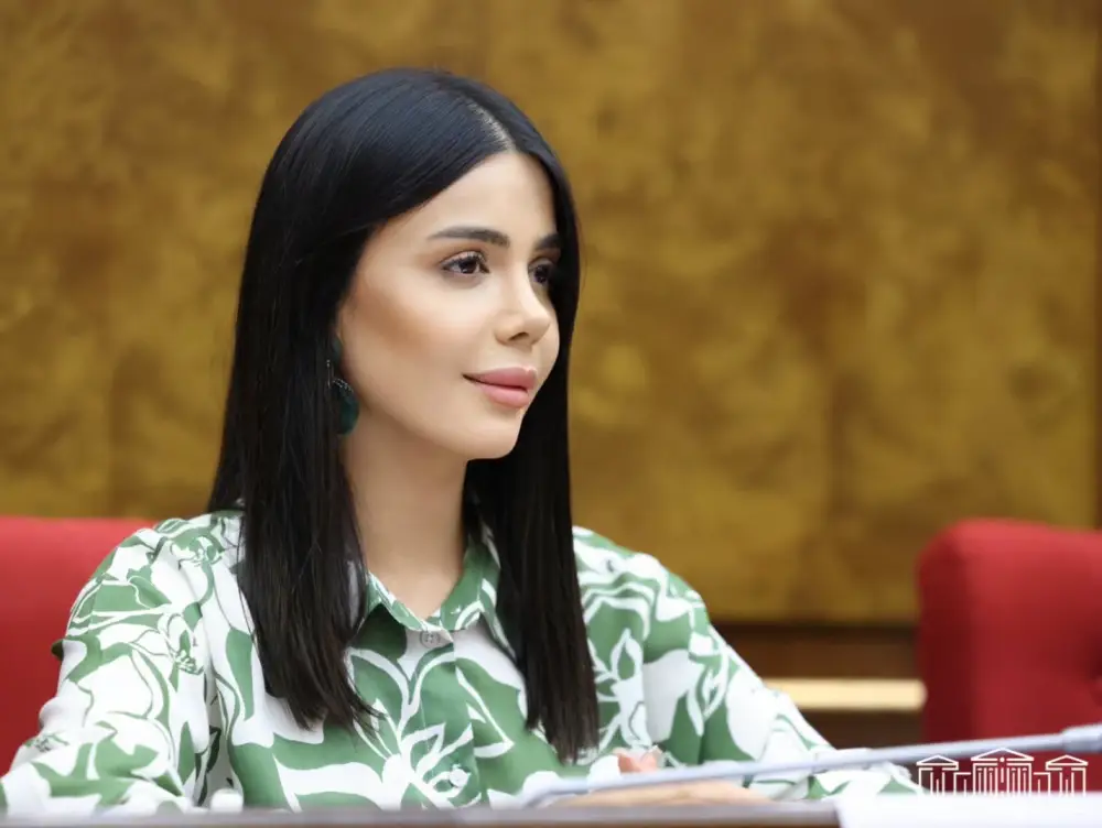 «Հրապարակ»․ ՔՊ-ի «դեմբելներն» առիթավորվել են եւ, ընդդիմությանը միացած, պատերի տակ Արաքսյա Վարդանյան են «քլնգում»